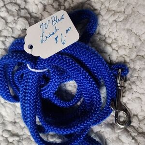 Blue Dog Leash